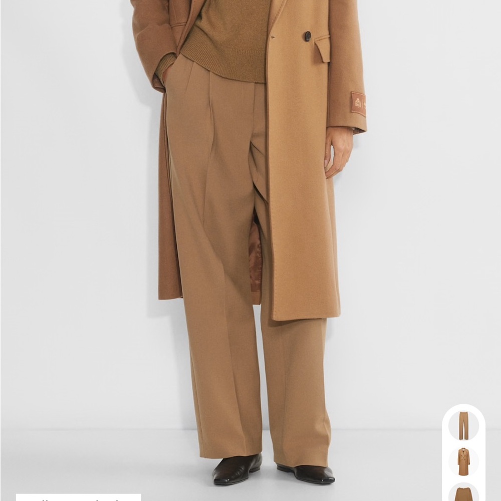 Aritzia Babaton Pleated Pant (Re)ssential